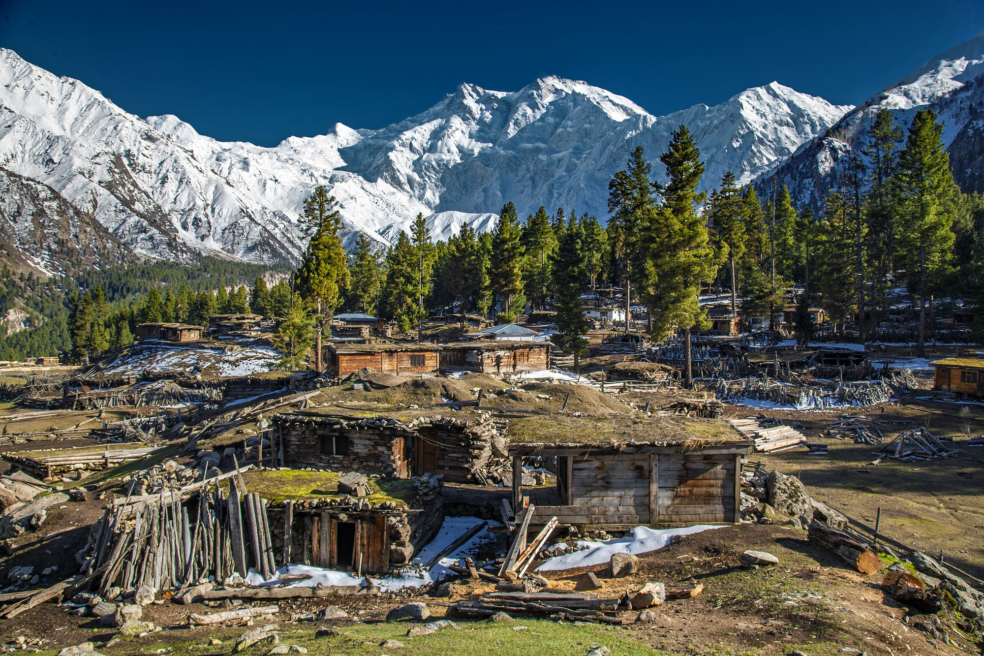 Fairy Meadows